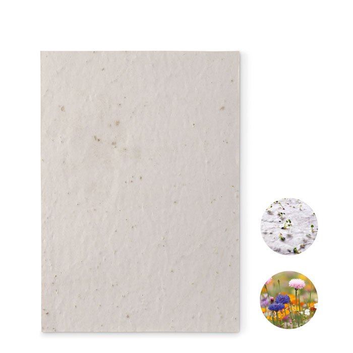ASIDE - A5 zaadpapier wilde bloemen