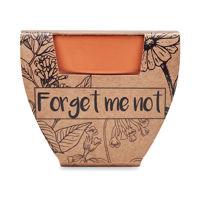 FORGET ME NOT - Potje Vergeet-me-nietjes
