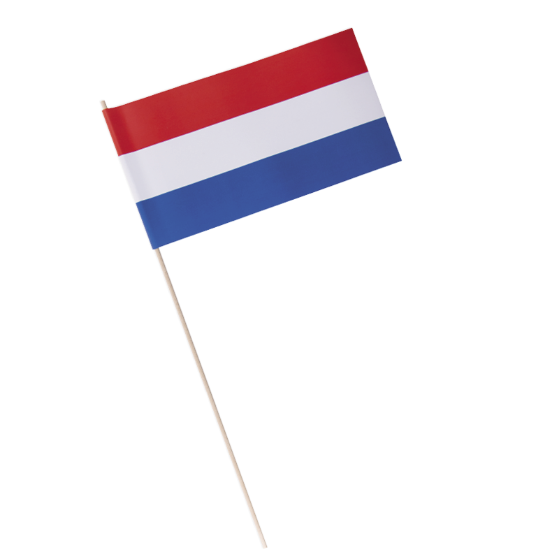 Landenvlaggetjes 11,5 x 24 cm Suriname