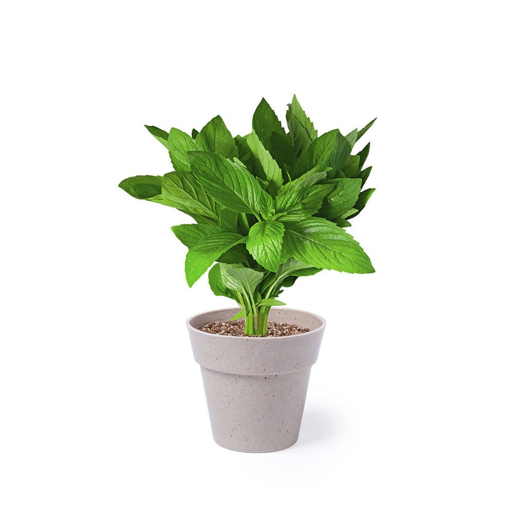 Bloempot Set Nertel
