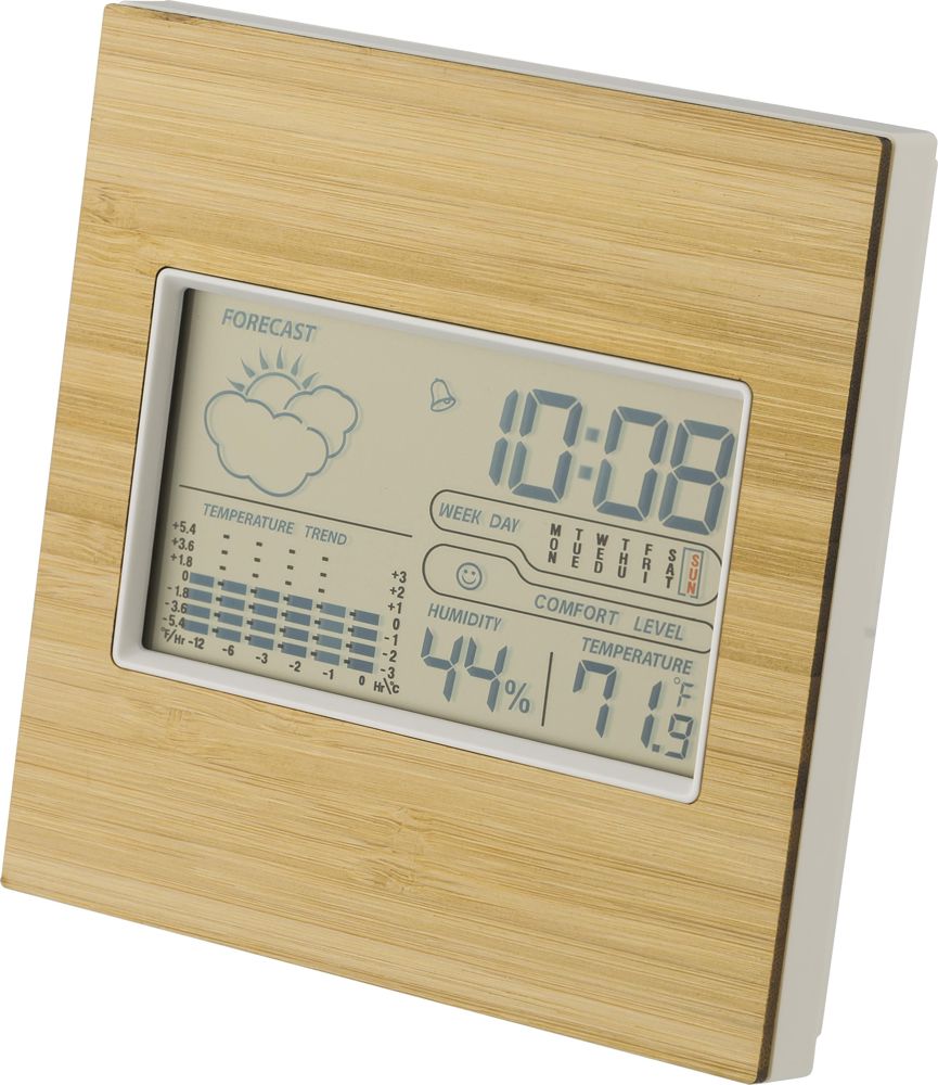 Bamboe weerstation Lia