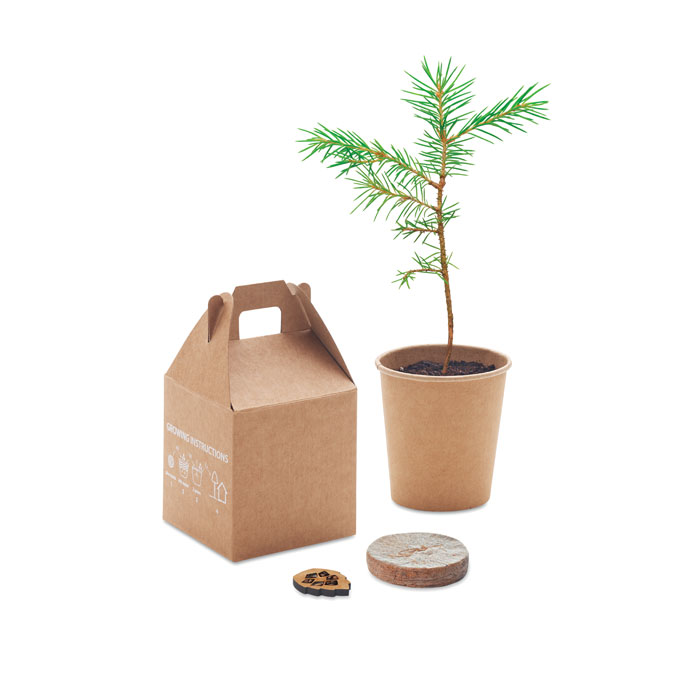 GROWTREE™ - Pijnboom set