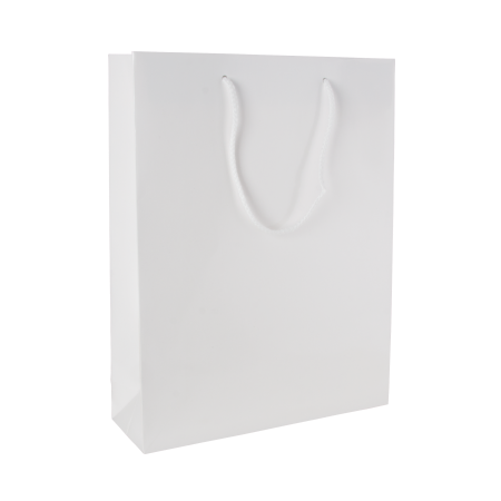 Glans gelamineerde papieren tas, 220x100x275 mm