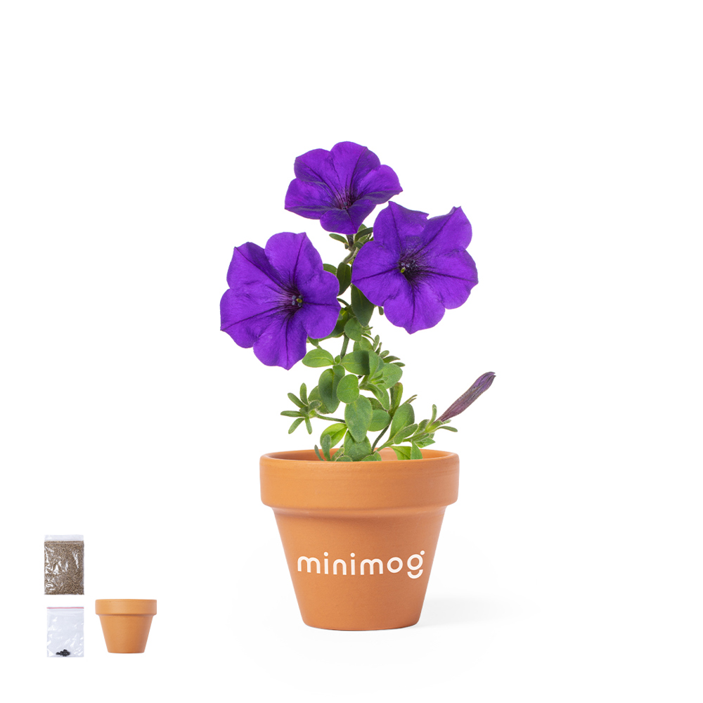 Bloempot Soltax
