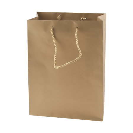 Glanzend papieren tas, 220x290x100 mm
